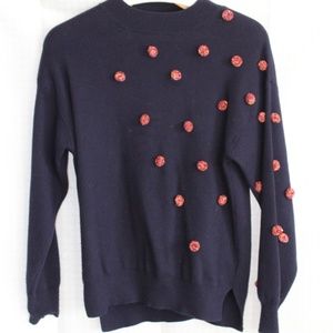 Zara pom pom kint sweater